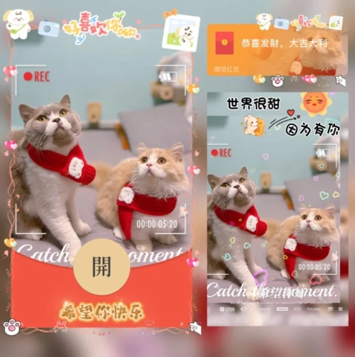 1a4217e1912e.webp