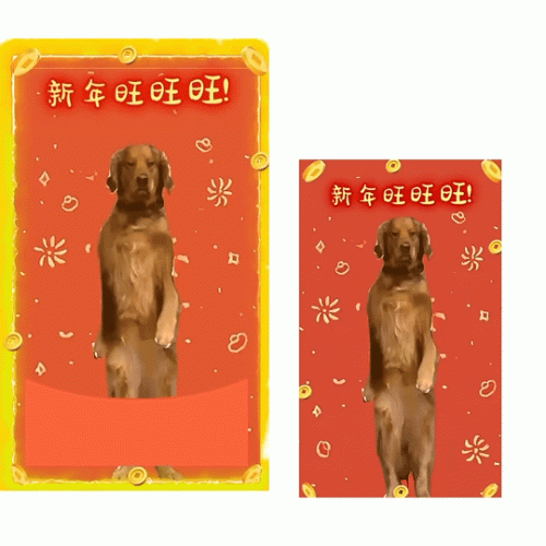 ee001d824c33.gif